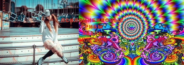 ECSTASY Елизово
