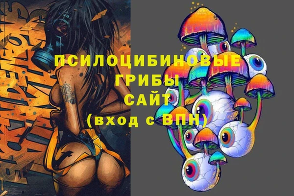 ECSTASY Елизово